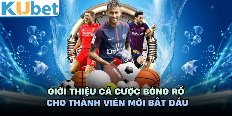 Giới thiệu cá cược bóng rổ cho thành viên mới bắt đầu 